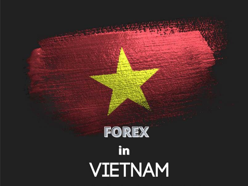 Tổng quan thị trường Forex ở Việt Nam