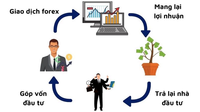 Ủy thác đầu tư Forex là gì