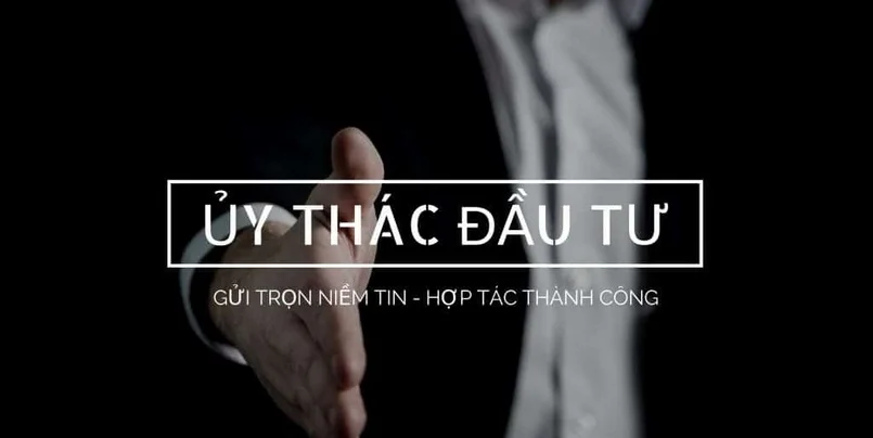 Cân nhắc trước các lời mời ủy thác đầu tư forex